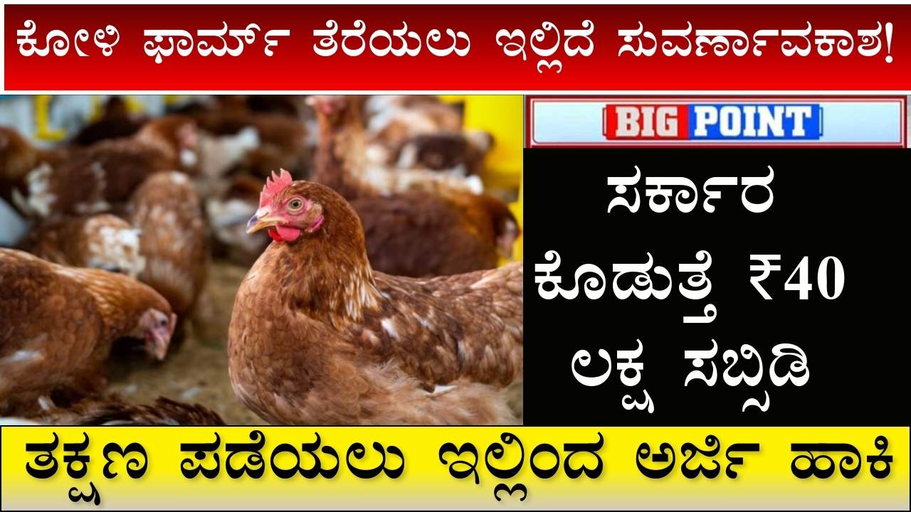 Poultry Farming Business