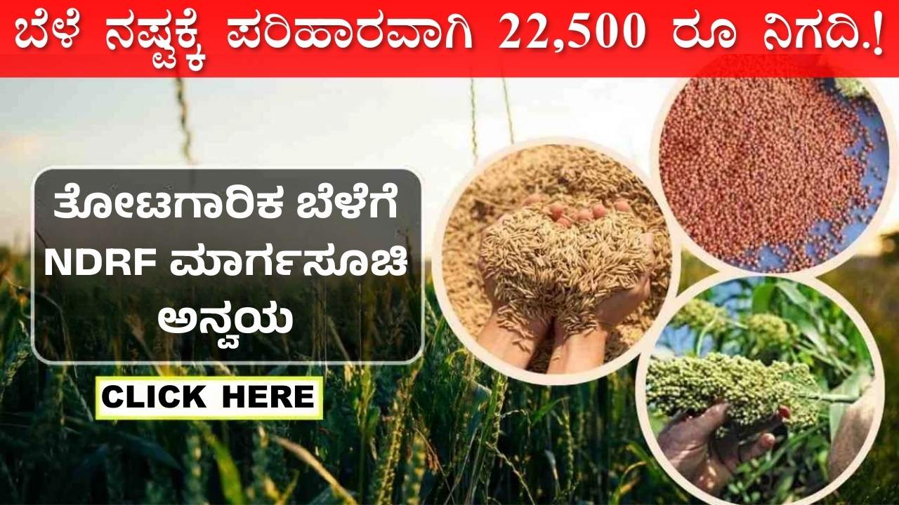 horticulture crop parihara amount karnataka