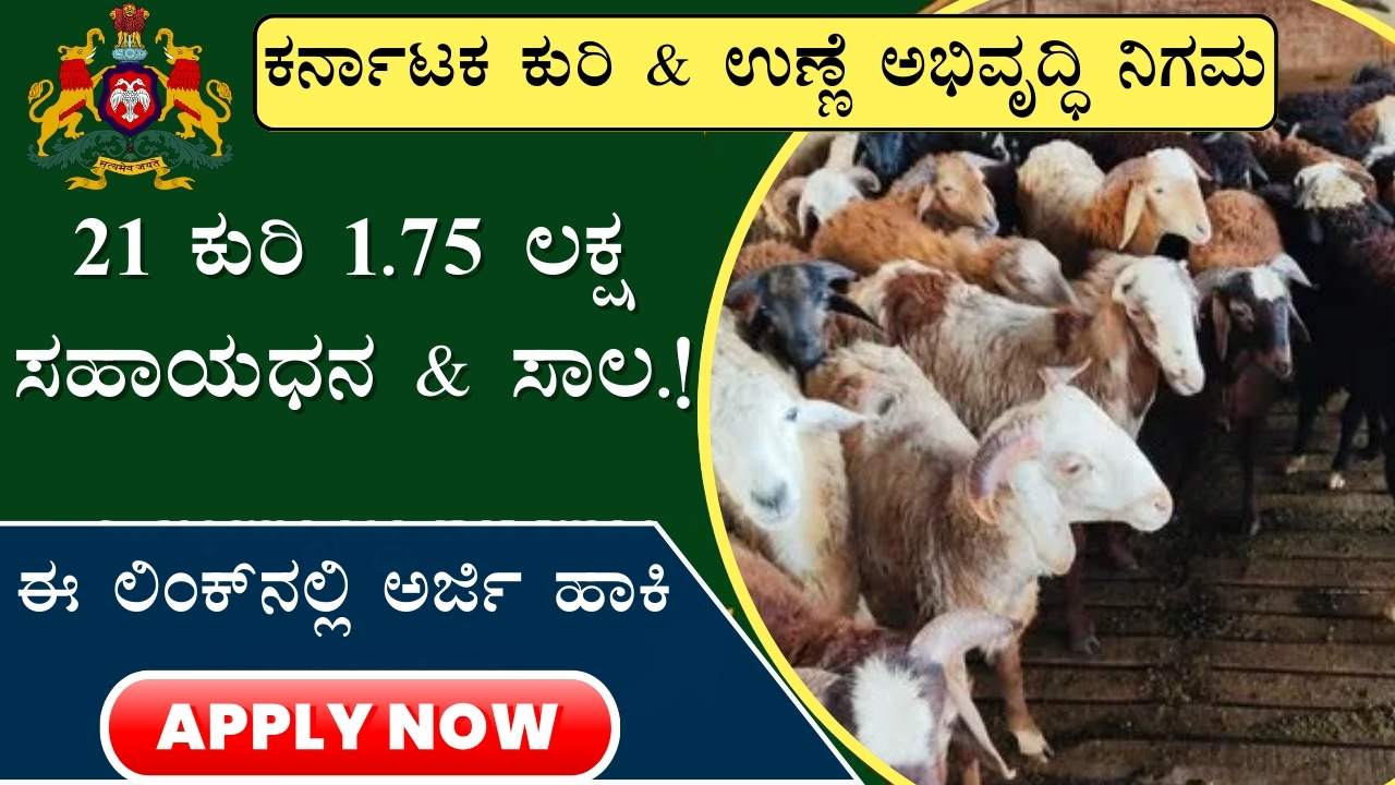 sheep and goat farming