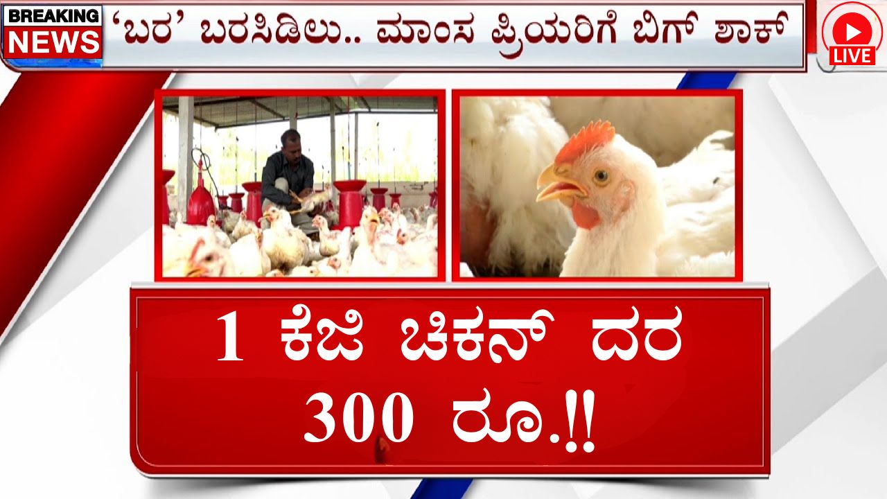 Chicken Price Hike In Kannada