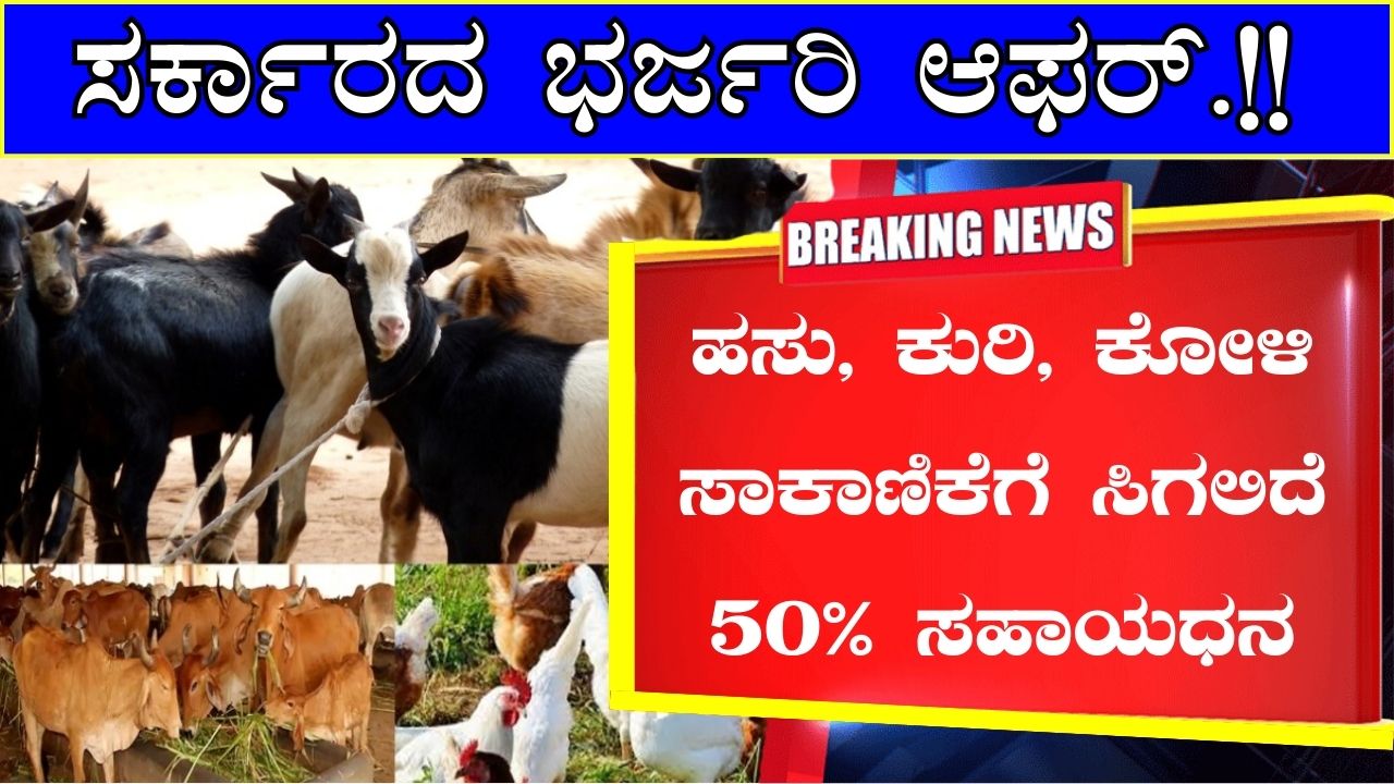 Subsidy will be available for rearing cows sheep and chickens