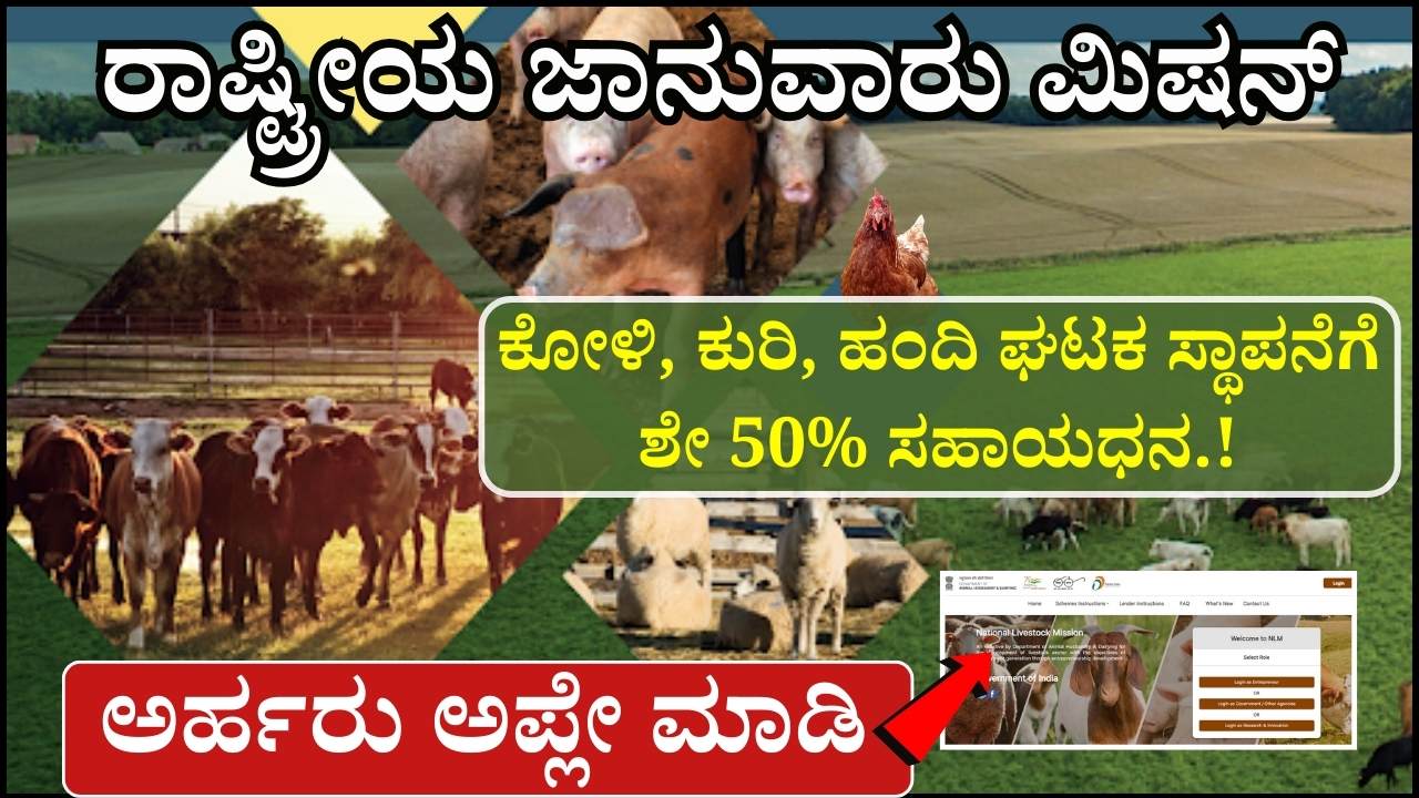 national livestock mission scheme