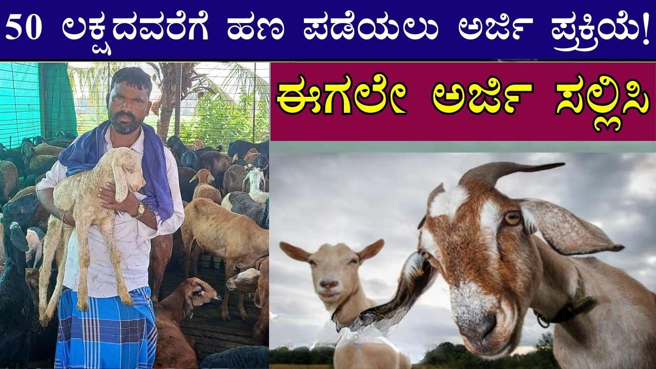 Goat Farming Loan Scheme