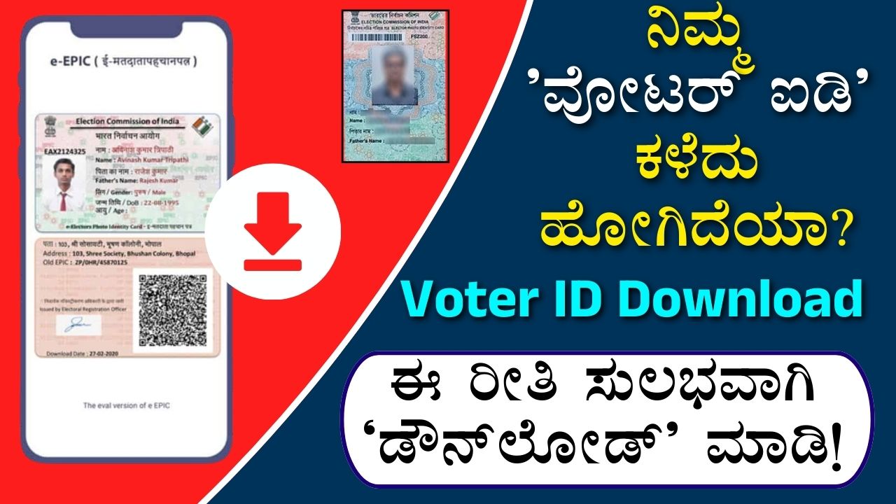 voter id download