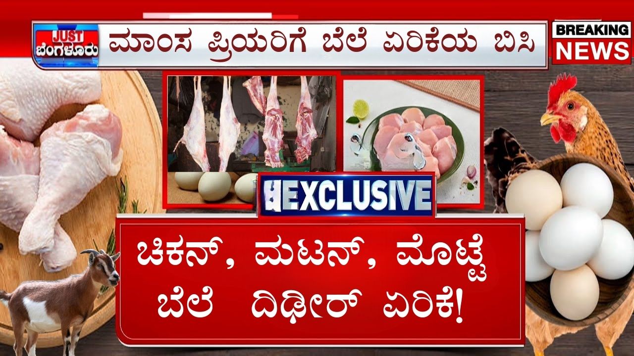 Chicken Meat Price Hike 2024