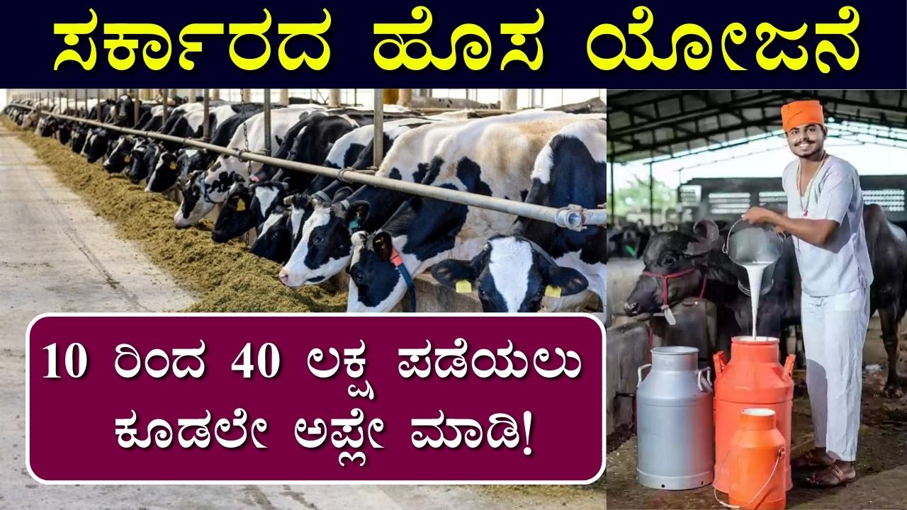 Dairy Farming Loan Karnataka 2024