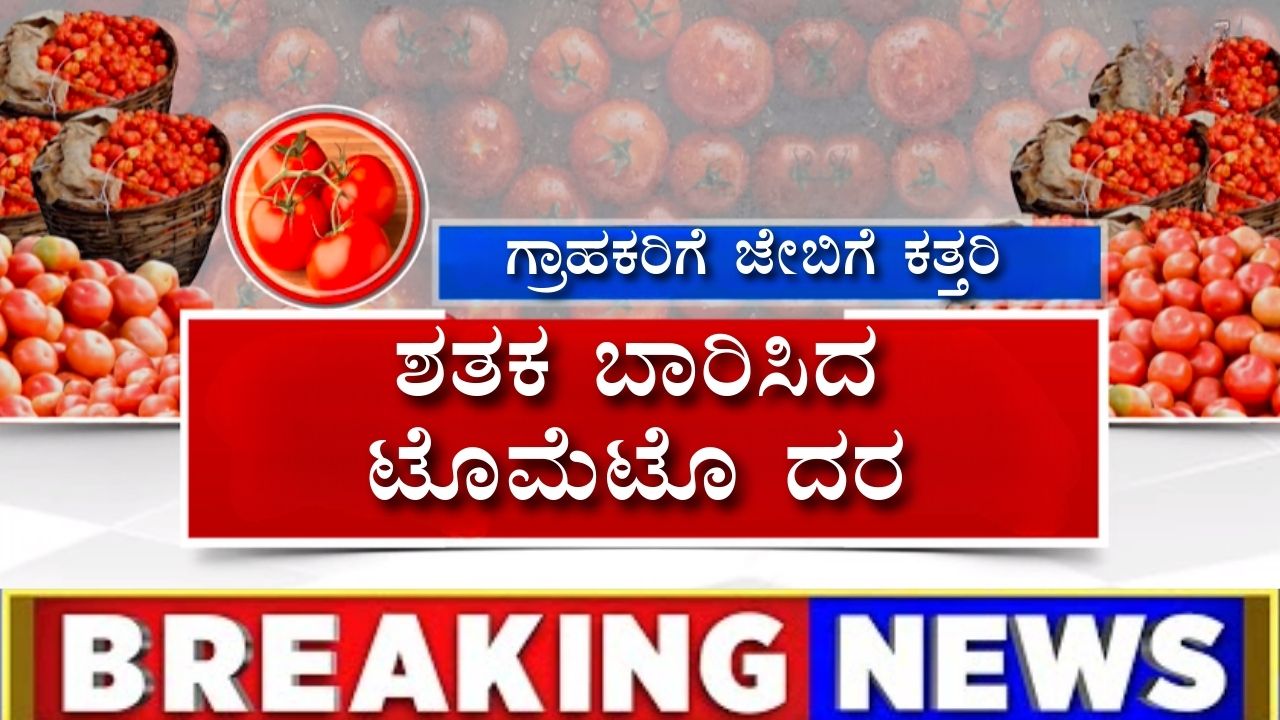  Tomato Price Hike