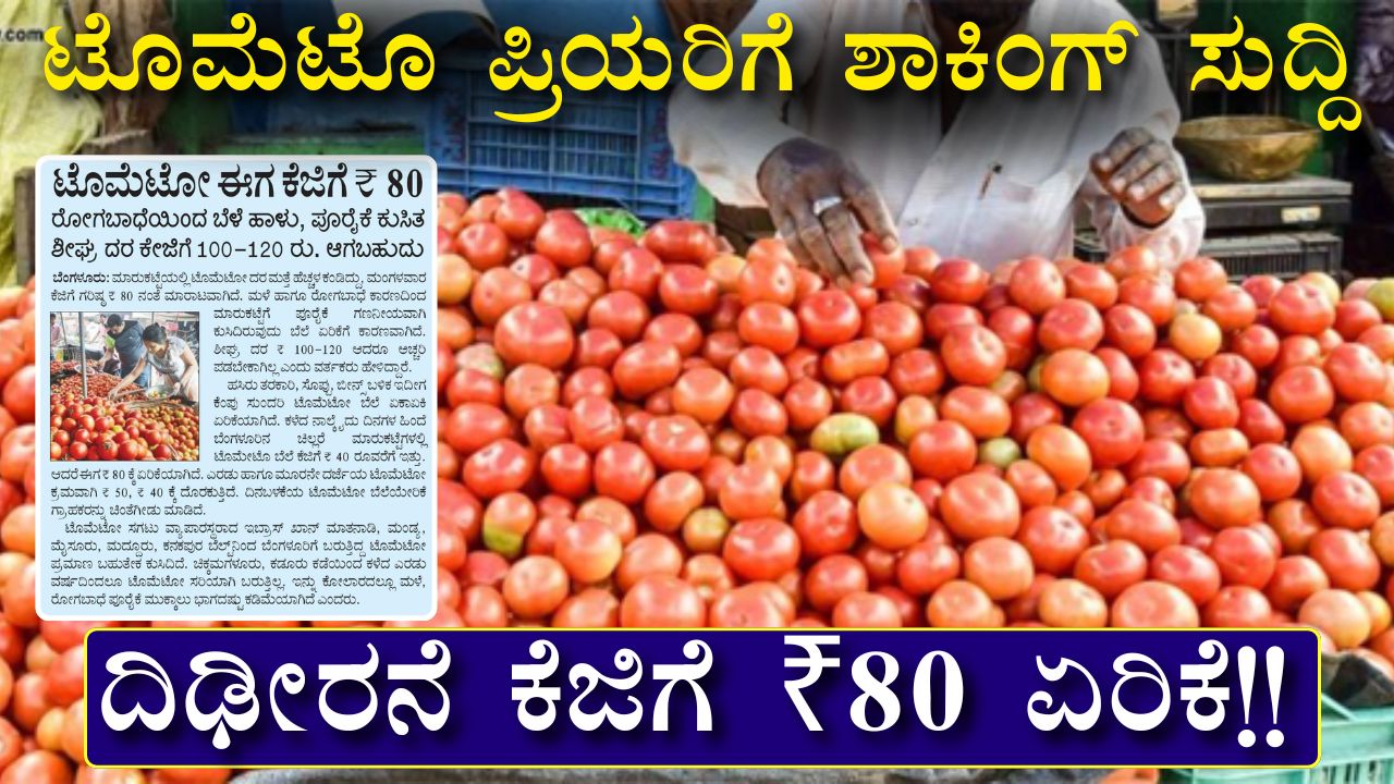 Tomato Prices