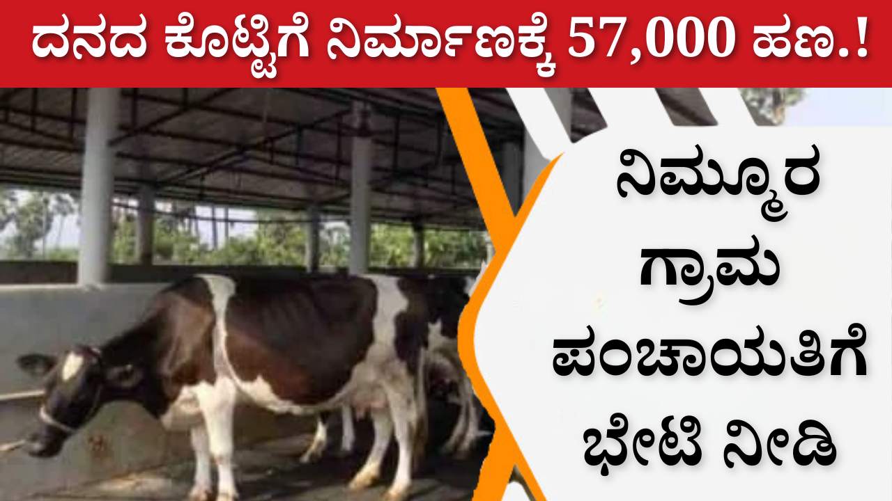 Cattle Shed Subsidy scheme