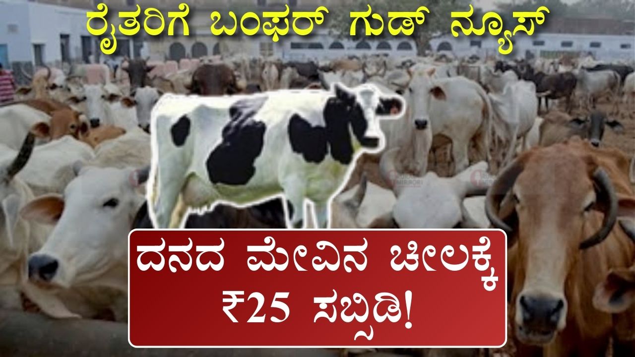 Subsidy Per Bag Of Cattle Feed