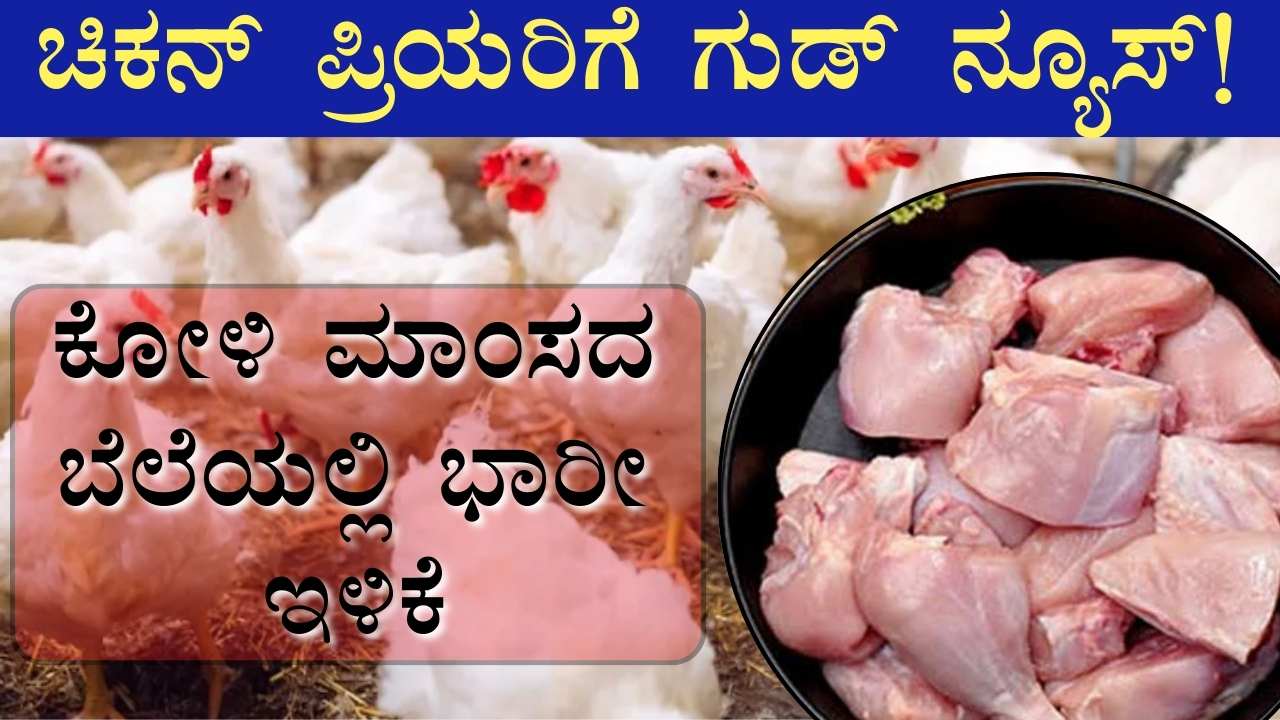 chicken prices down